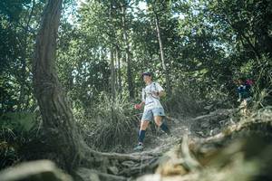 BIB: 
                            <button type="button" onclick="openModal(25986323)" class="btn btn-primary btn-sm float-right btn-popup" data-toggle="modal" data-target=".modal-high-quality">
                        <i class="fas fa-shopping-cart"></i> Add to Cart
                    </button>
                                            <button type="button" onclick="isThisMe(25986323, true)" class="btn btn-success btn-sm float-right btn-popup btn-isme hidden" data-toggle="tooltip" data-placement="bottom" title="นี่คือรูปของคุณใช่ไหม คลิกที่นี่เพื่อเอาเข้าอัลบั้ม">
                        <i class="fas fa-plus"></i> Add to album
                    </button>
                    <button type="button" onclick="isThisMe(25986323, false)" class="btn btn-warning btn-sm float-right btn-popup btn-isnotme hidden">
                        <i class="fas fa-ban"></i> Remove from album
                    </button>